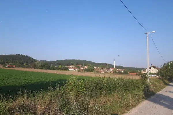 Mahmutlar Cami - Resim 8