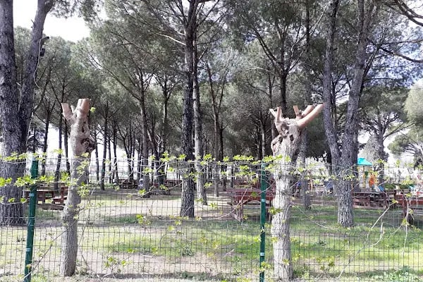 Kleopatra Güzellik Ilıcası - Resim 15