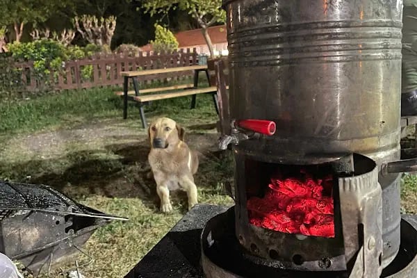 Kleopatra Güzellik Ilıcası - Resim 6