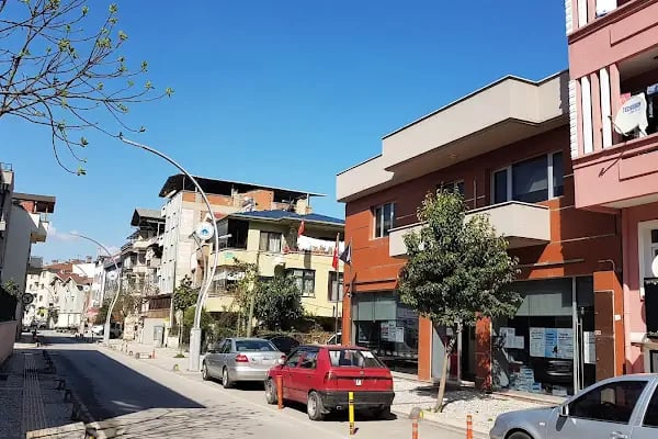 Anadolu Üniversitesi Aöf Sakarya Bürosu - Resim 3