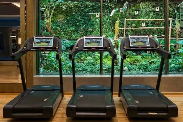 Elite World Grand İstanbul Basın Ekspres - Resim 9