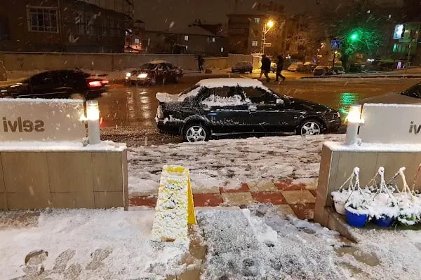 Selvi Pastanesi (KUŞCAĞIZ) - Resim 8