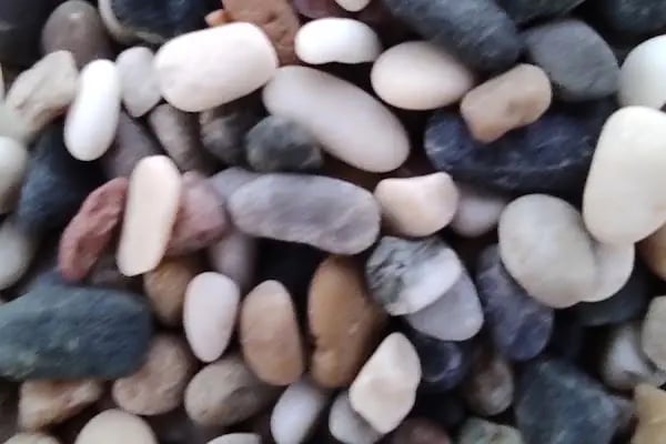 Beymelek Likya Restaurant - Resim 17