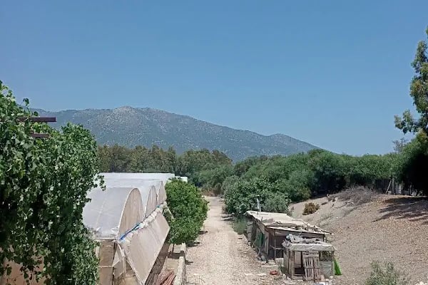 Beymelek Likya Restaurant - Resim 18