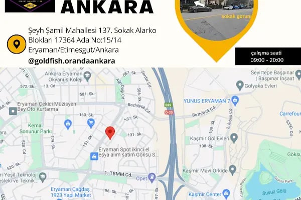 Ankara Gold Fish Oranda - Resim 11