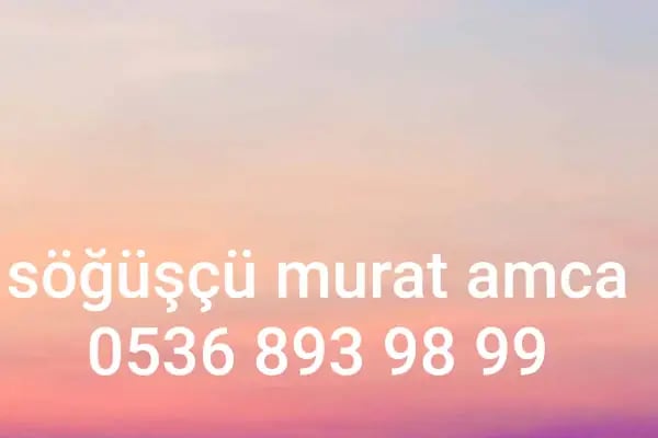 Söğüşçü Murat Amca - Resim 20