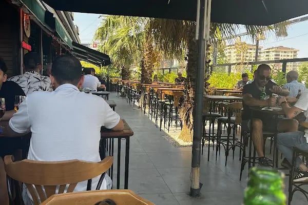 BarınaQ Özlüce - Resim 2