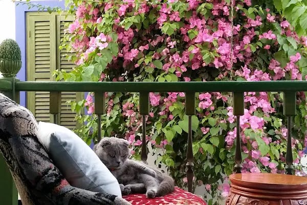 Cemil İpekçi Pension - Resim 10