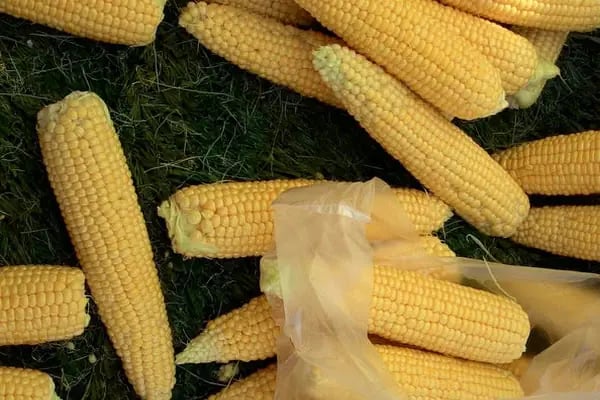 Değirmendere SALI PAZARI - Resim 13