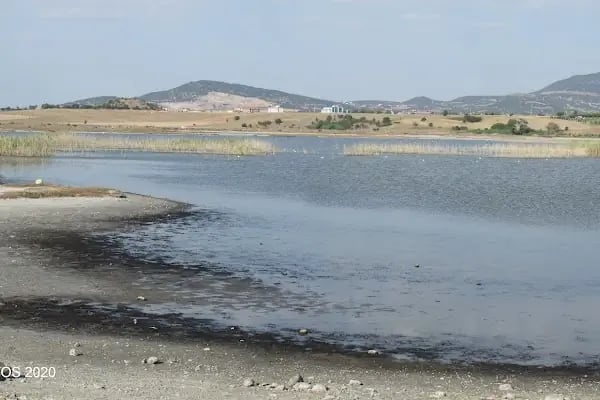 Şakir Çelik - Trakya Market - Resim 15