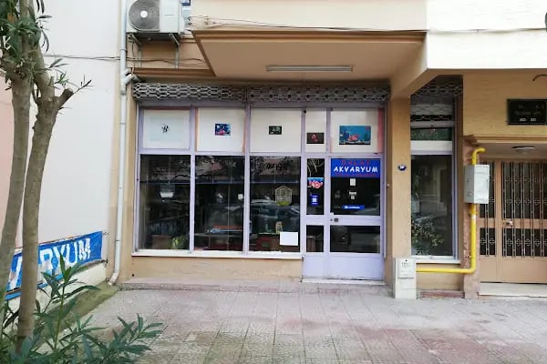 Dalay Akvaryum Toptan Ve Perakende - Resim 2