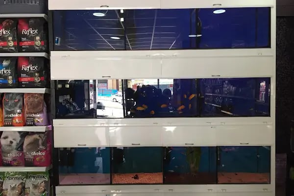 Petcenter Pet Shop - Resim 13