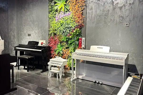 Kökey Müzik Aletleri İthalat İhracat Dış Tic LTD. ŞTİ. Merkez Ofis - Resim 5