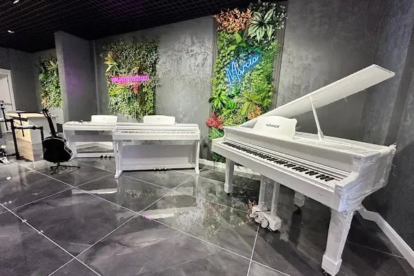 Kökey Müzik Aletleri İthalat İhracat Dış Tic LTD. ŞTİ. Merkez Ofis - Resim 13