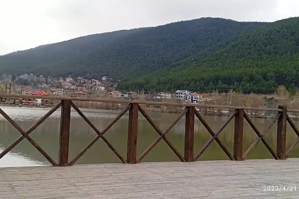 Çamlıdere bungalov Otel - Resim 19