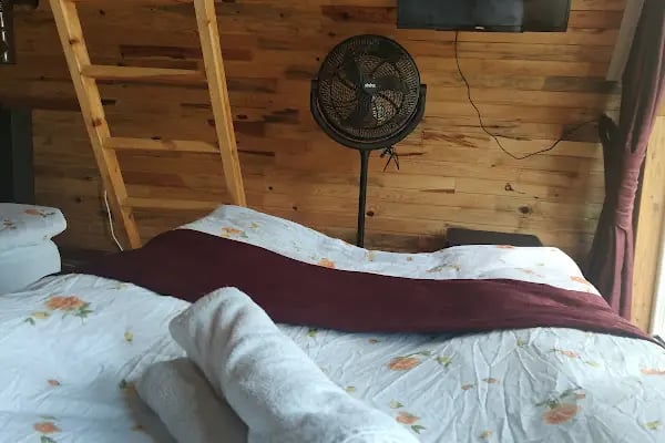 Çamlıdere bungalov Otel - Resim 2