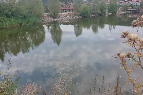 Çamlıdere bungalov Otel - Resim 15