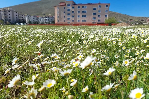 Afşin Millet Bahçesi - Resim 2