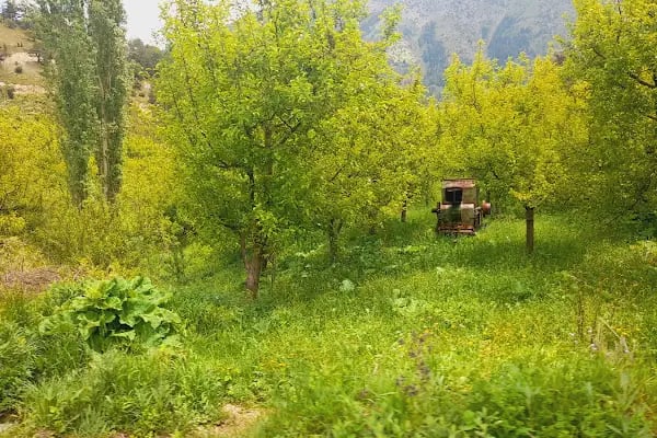 Afşin Millet Bahçesi - Resim 15