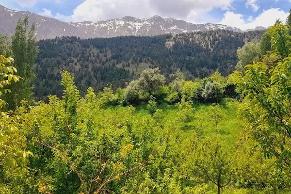 Afşin Millet Bahçesi - Resim 5