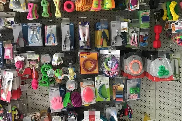 Mama Antalya Petshop Mevlana şube - Resim 7