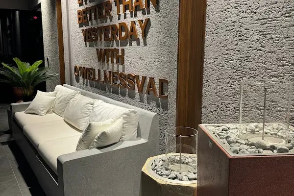 Vadi Wellness The Superior Living Kağıthane - Resim 9
