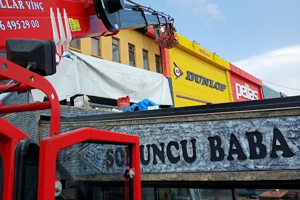 Ankara Sepetli Vinç Kiralama - Resim 17