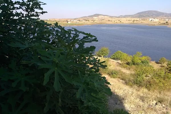 Kral Kızı Bazilikası - Resim 19