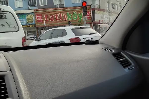 Tatlıköy - Resim 8