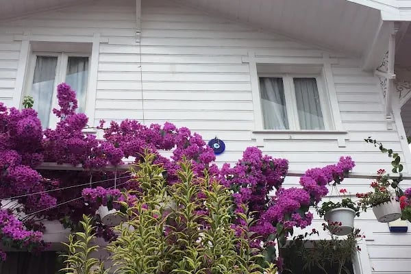 Dentur Avrasya Avcılar - Resim 7