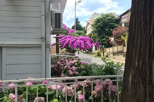 Dentur Avrasya Avcılar - Resim 10