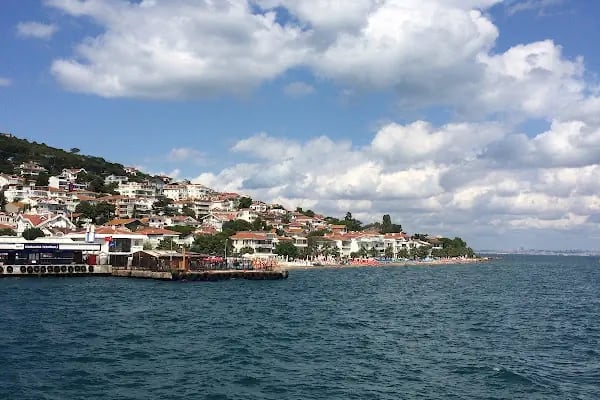 Dentur Avrasya Avcılar - Resim 9