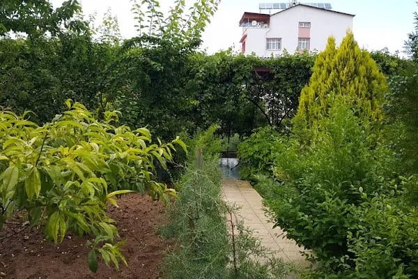 Sarı Konak Pansiyon - Resim 8