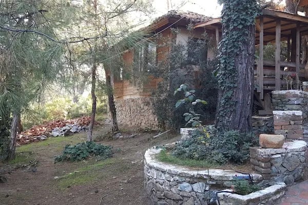 Kayserkaya Dağ Evleri - Resim 9