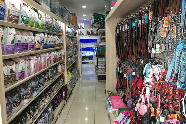 Özel Alanya Fen Bilimleri Temel Lisesi - Resim 4