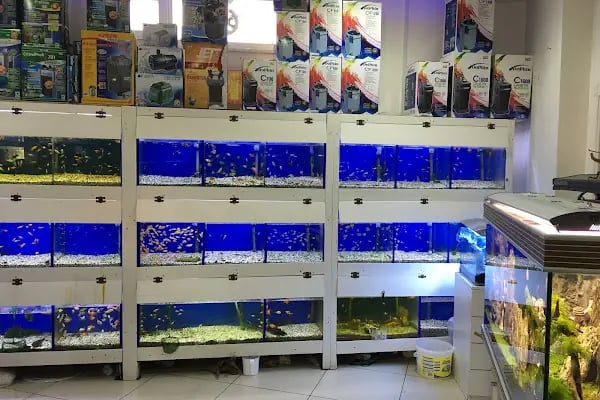 Özel Alanya Fen Bilimleri Temel Lisesi - Resim 12