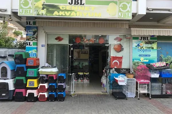 Özel Alanya Fen Bilimleri Temel Lisesi - Resim 9