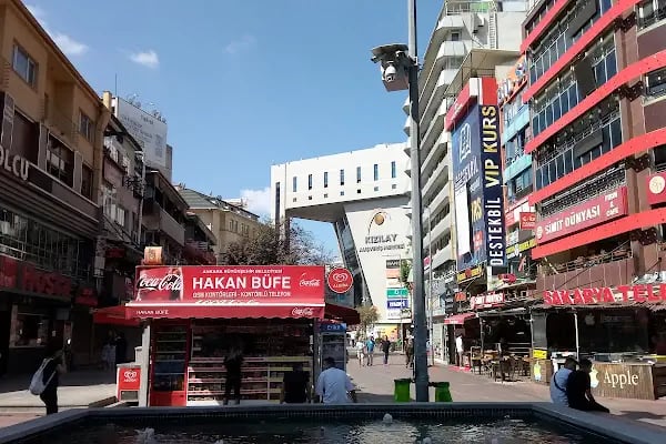 Kaktüs Çiçekçilik - Resim 4