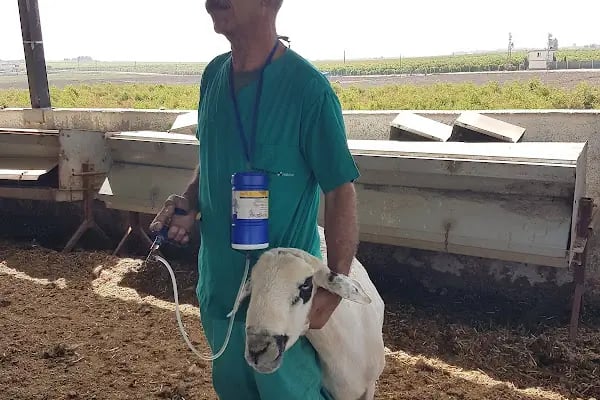 Ak-Vet Akdeniz Veteriner Kliniği - Resim 12