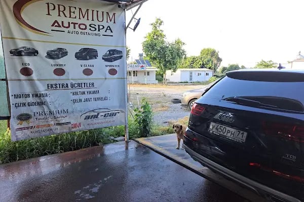 Premium Car Wash Spa - Resim 3