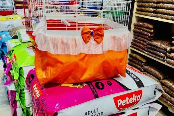 Petshop yılmaz - Resim 9