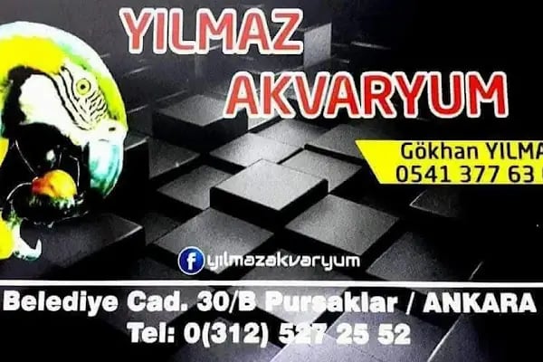 Petshop yılmaz - Resim 7
