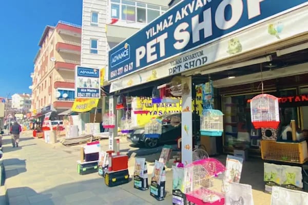 Petshop yılmaz - Resim 1