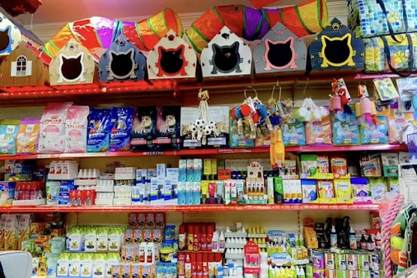 Petshop yılmaz - Resim 2