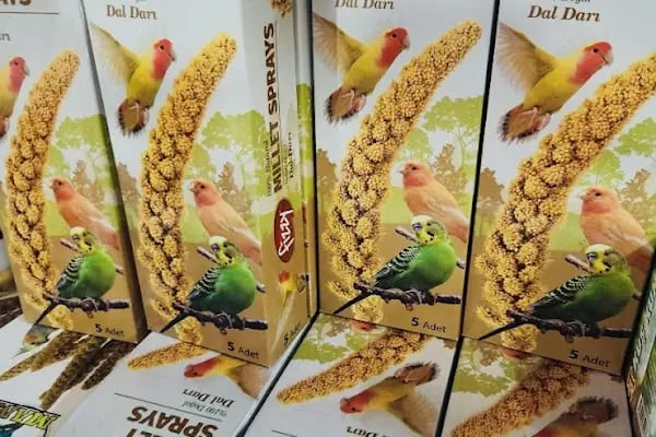Petshop yılmaz - Resim 6