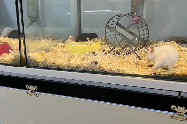 Selanik Pet Shop - Resim 10