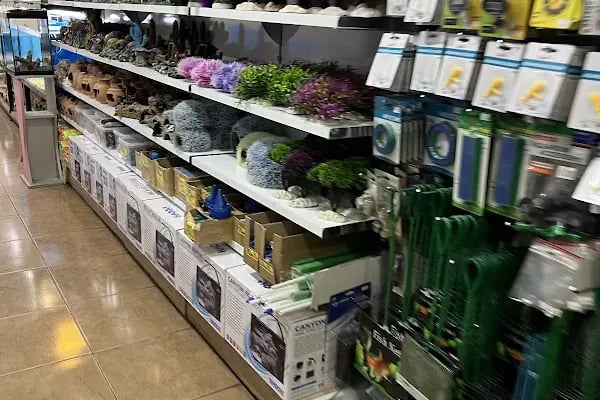 Selanik Pet Shop - Resim 13