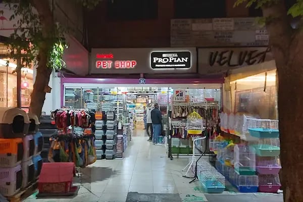 Selanik Pet Shop - Resim 7