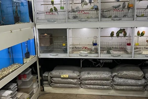 Selanik Pet Shop - Resim 16