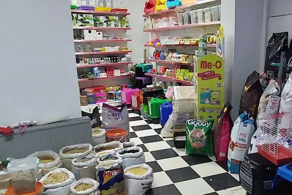 Botanik Petshop - Resim 11